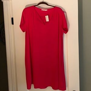 Hot pink LUSH sheath dress from Nordstrom